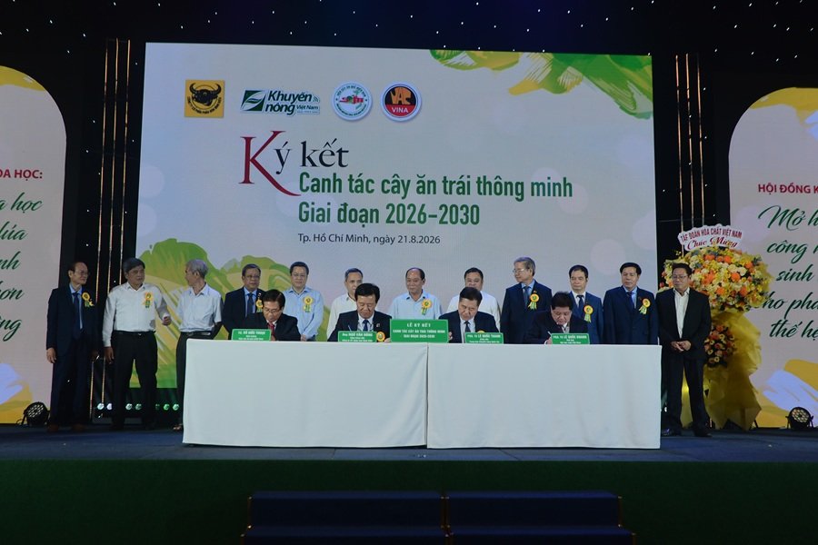 Từ phòng thí nghiệm đến đồng ruộng: Hành trình Bình Điền đưa khoa học vào giải pháp canh tác