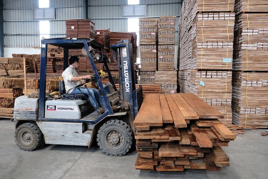 Từ xuất khẩu sang hiện diện: bước ngoặt của gỗ Việt ở Mỹ