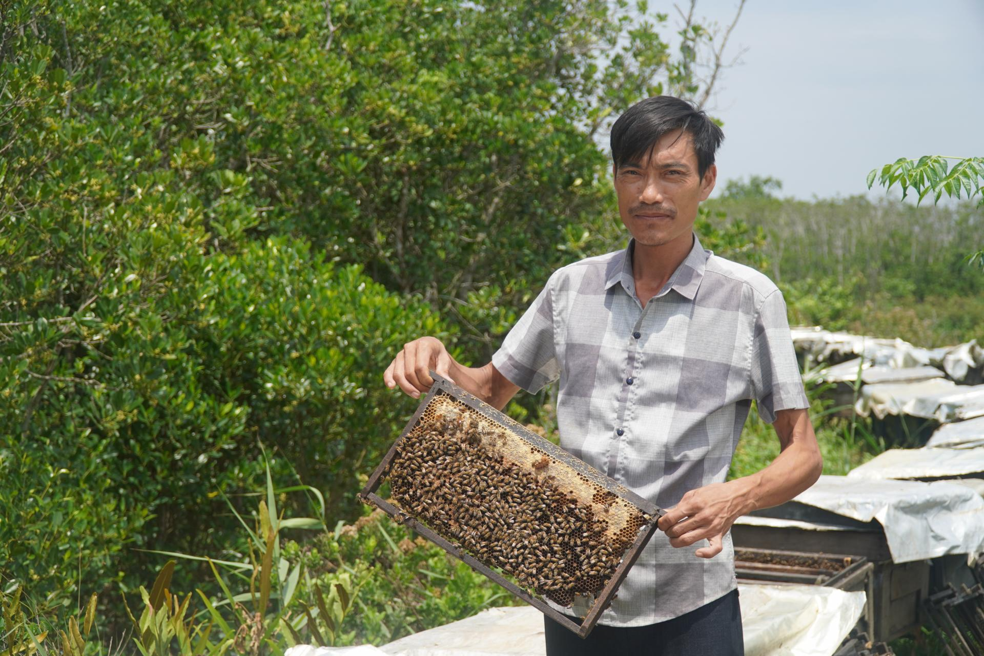 Thanh Hóa chi 430 tỷ gia cố kè biển Hải Tiến: lá chắn sống còn cho du lịch và cộng đồng