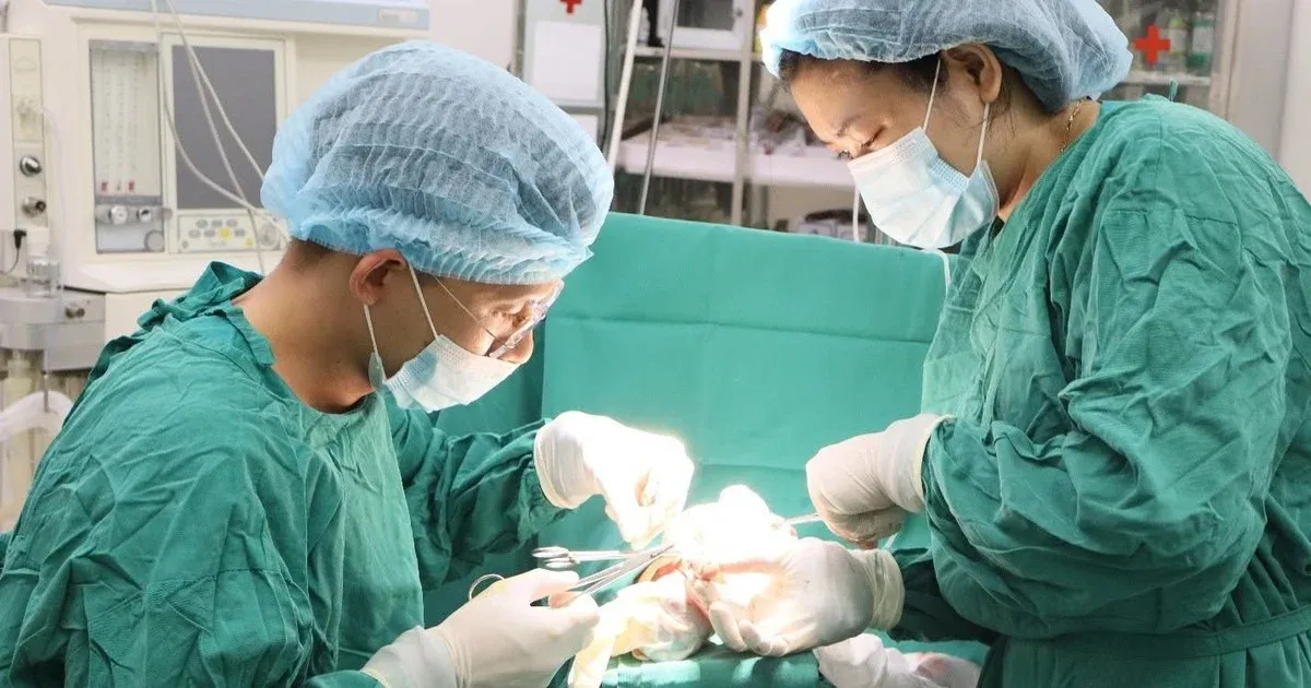 Ghép thần kinh bảo quản: bước ngoặt cho phục hồi chức năng