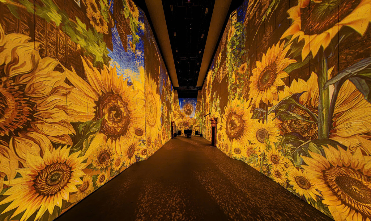 Van Gogh Timeless: Hướng dẫn trọn vẹn để mua vé và trải nghiệm