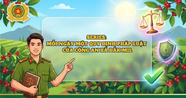 Từ mã QR biên giới đến video ngắn: Khi pháp luật số hóa chạm tay người dân