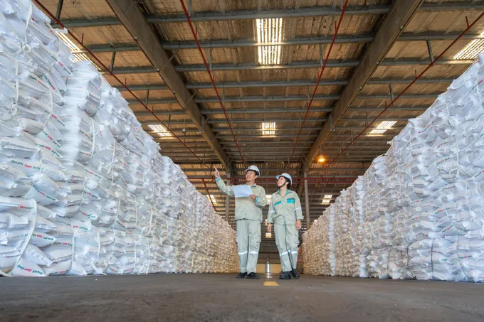 Công nghệ Digital Twin tại Phú Mỹ: bước nhảy về hiệu suất và ESG