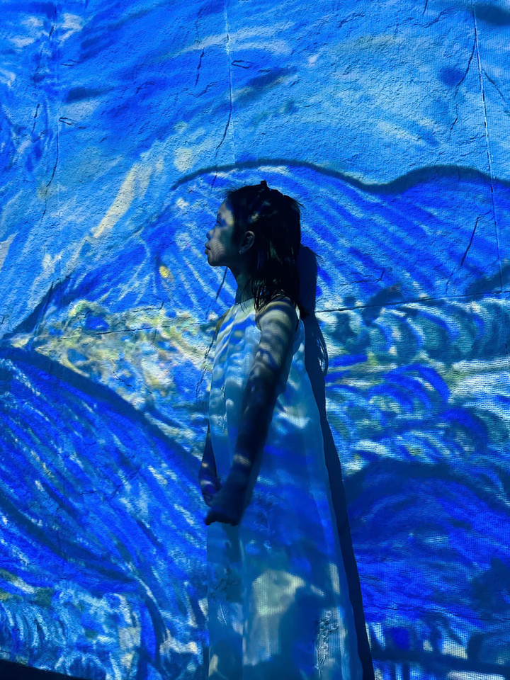 Van Gogh Timeless: Hướng dẫn trọn vẹn để mua vé và trải nghiệm
