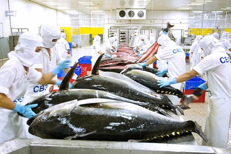 Xuất khẩu Việt Nam sang Mỹ tăng vọt: Xi măng bứt phá, tôm “gồng mình” vì thuế