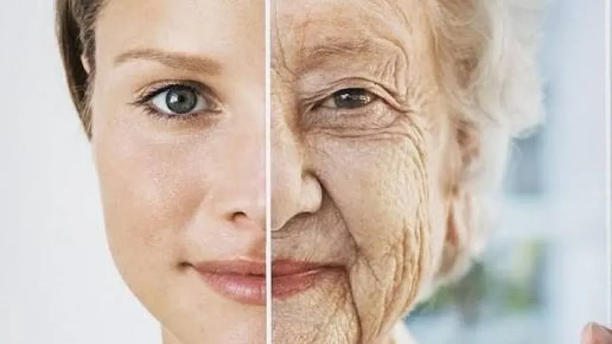 Tuổi 44 và 60: Hai bước ngoặt lão hóa sinh học và 5 thói quen cần đổi