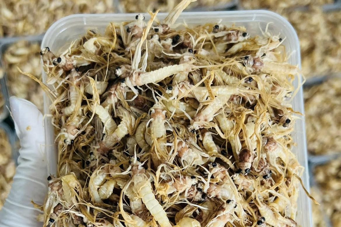 Từ lộc trời đến đặc sản 300.000 đồng: Cơ hội đổi đời của tiểu thương quê