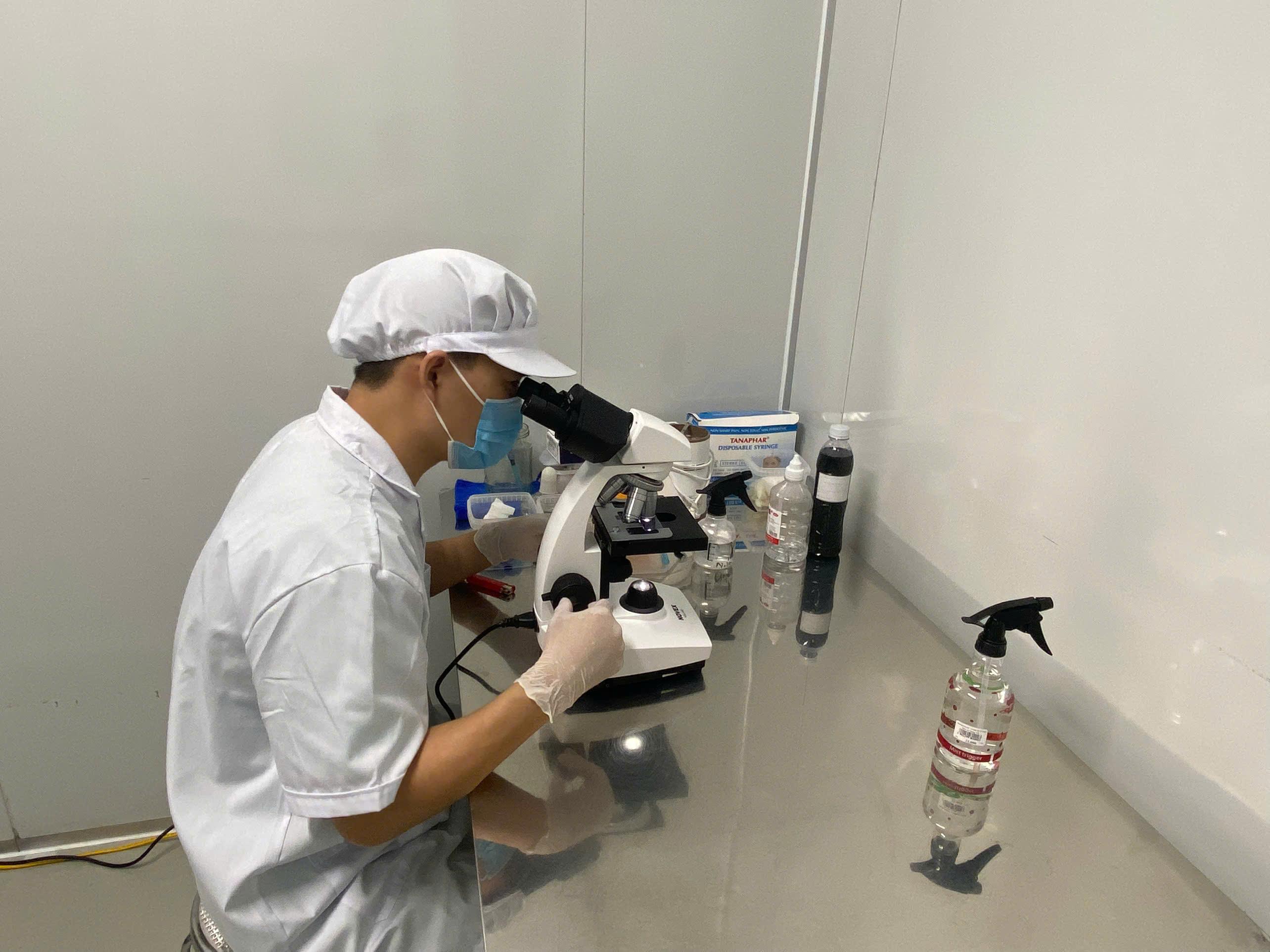 Từ dược liệu tươi đến sản phẩm cao cấp: lối thoát của HTX