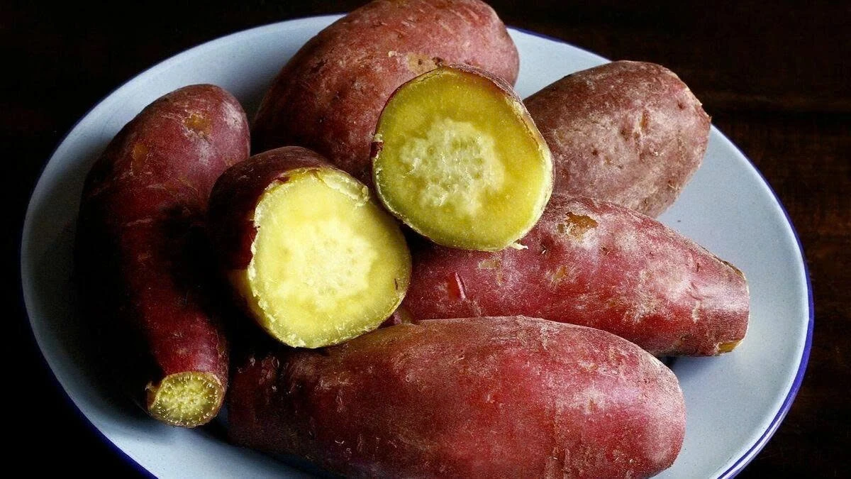Bí quyết luộc khoai lang bở tơi, ngọt đậm nhờ nước luộc chuẩn