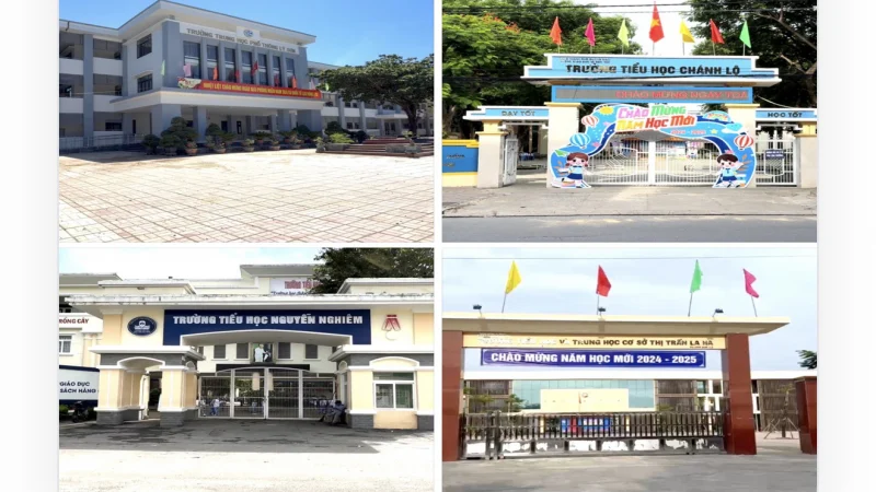 Sau sáp nhập trường học: Hợp đồng 9 tháng đẩy giáo viên vào vùng bất ổn
