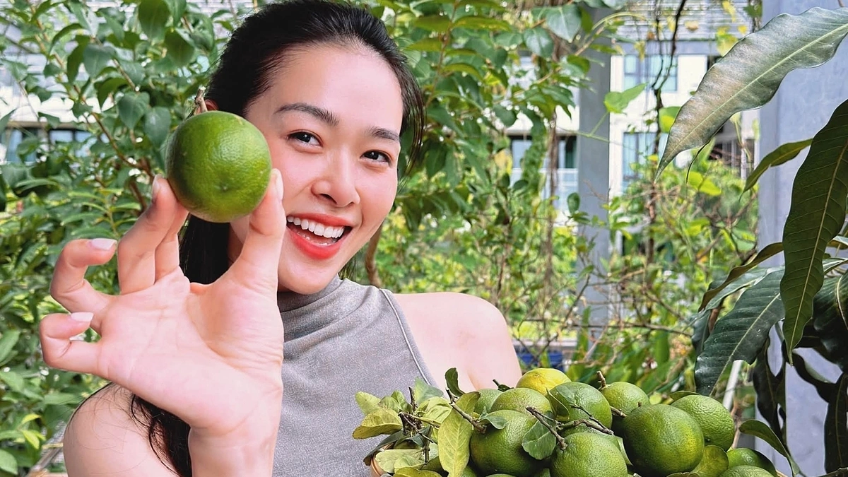 Từ sân thượng biệt thự đến vườn rau: Sao Việt trồng quả quanh năm