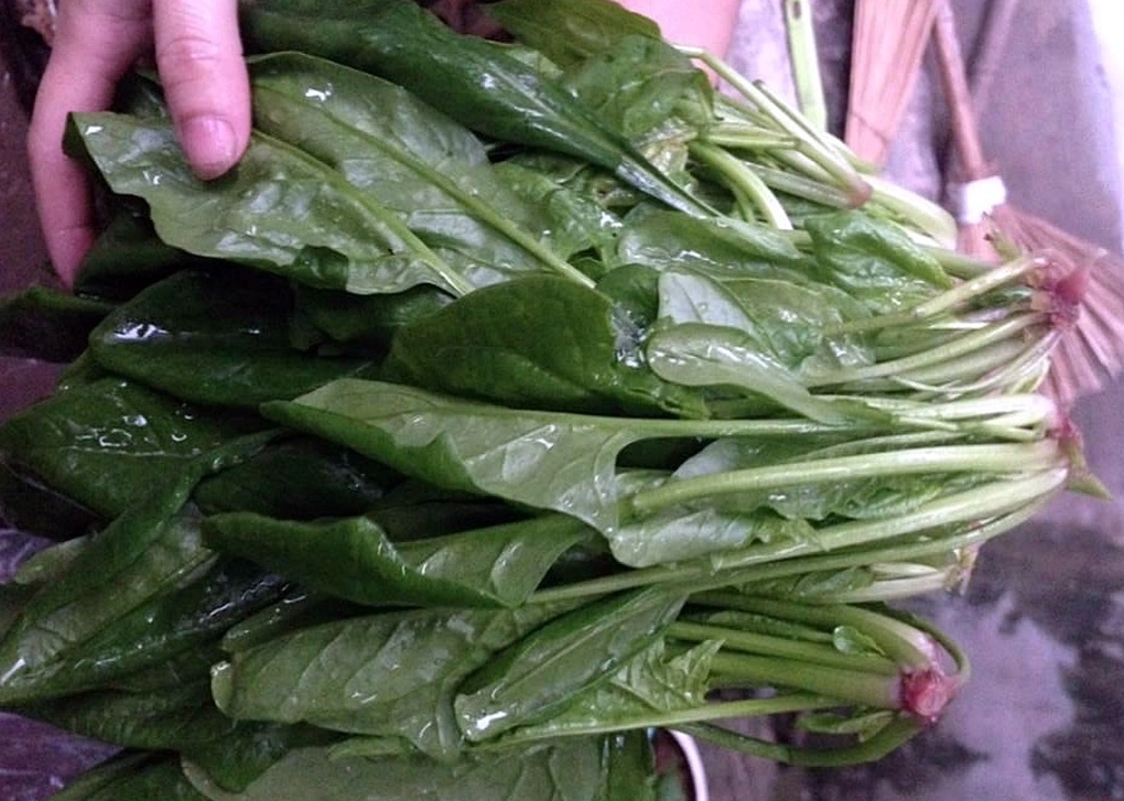 Bác sĩ tim mạch chỉ ra 8 nhóm thực phẩm bảo vệ mạch máu