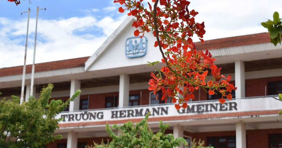 Sau sáp nhập trường học: Hợp đồng 9 tháng đẩy giáo viên vào vùng bất ổn
