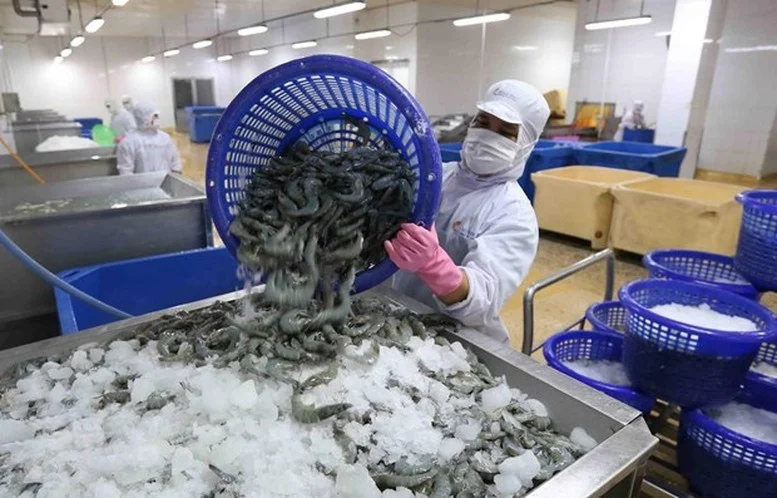 Xuất khẩu Việt Nam sang Mỹ tăng vọt: Xi măng bứt phá, tôm “gồng mình” vì thuế
