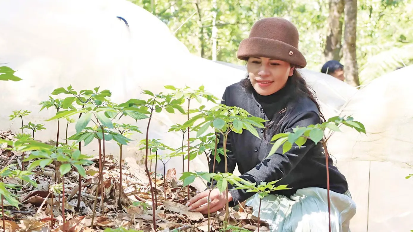 Nửa thế kỷ âm thầm kiến tạo: nữ nhà khoa học Việt Nam và di sản tri thức