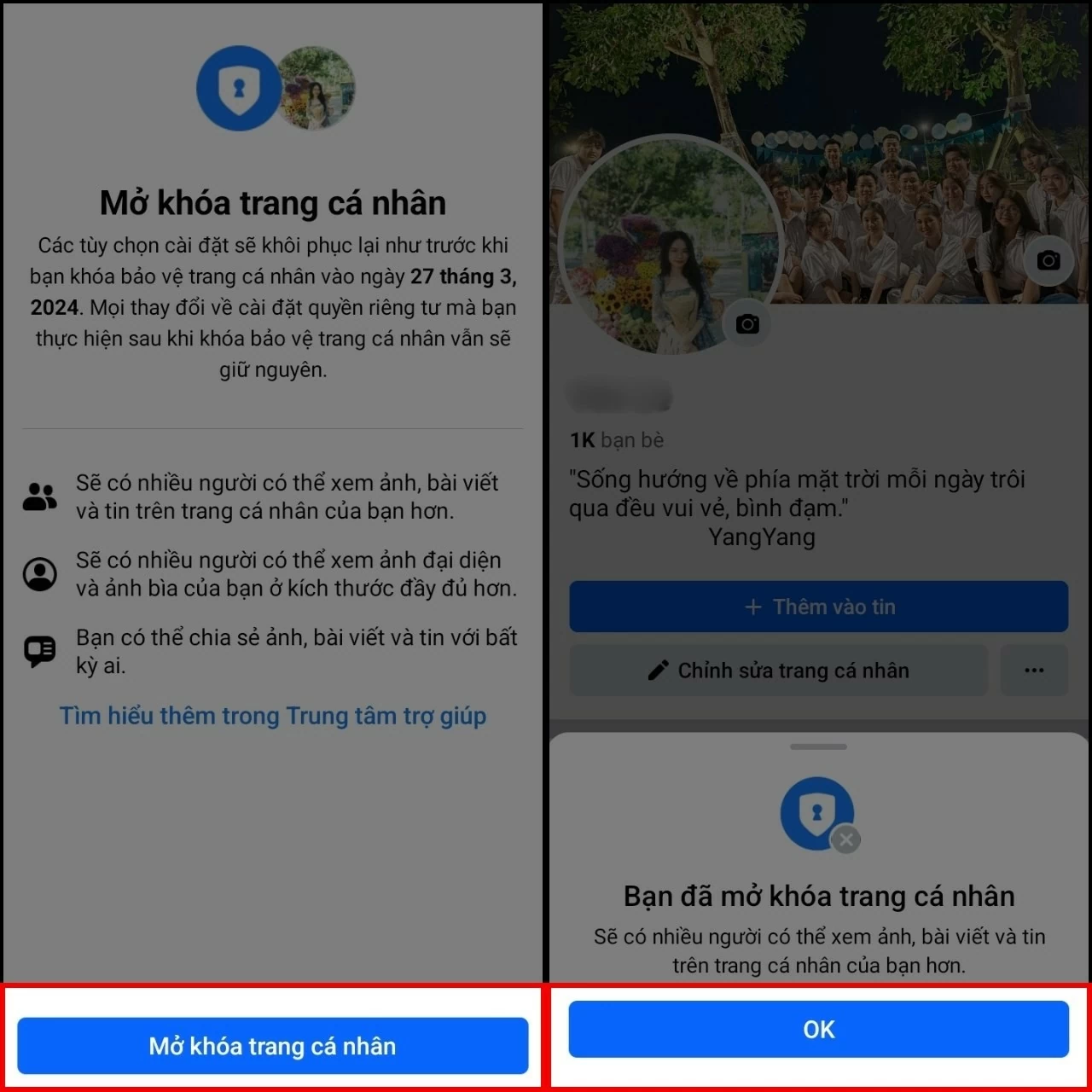 Bảo vệ tài khoản Facebook: Khóa hồ sơ và ẩn lượt thích