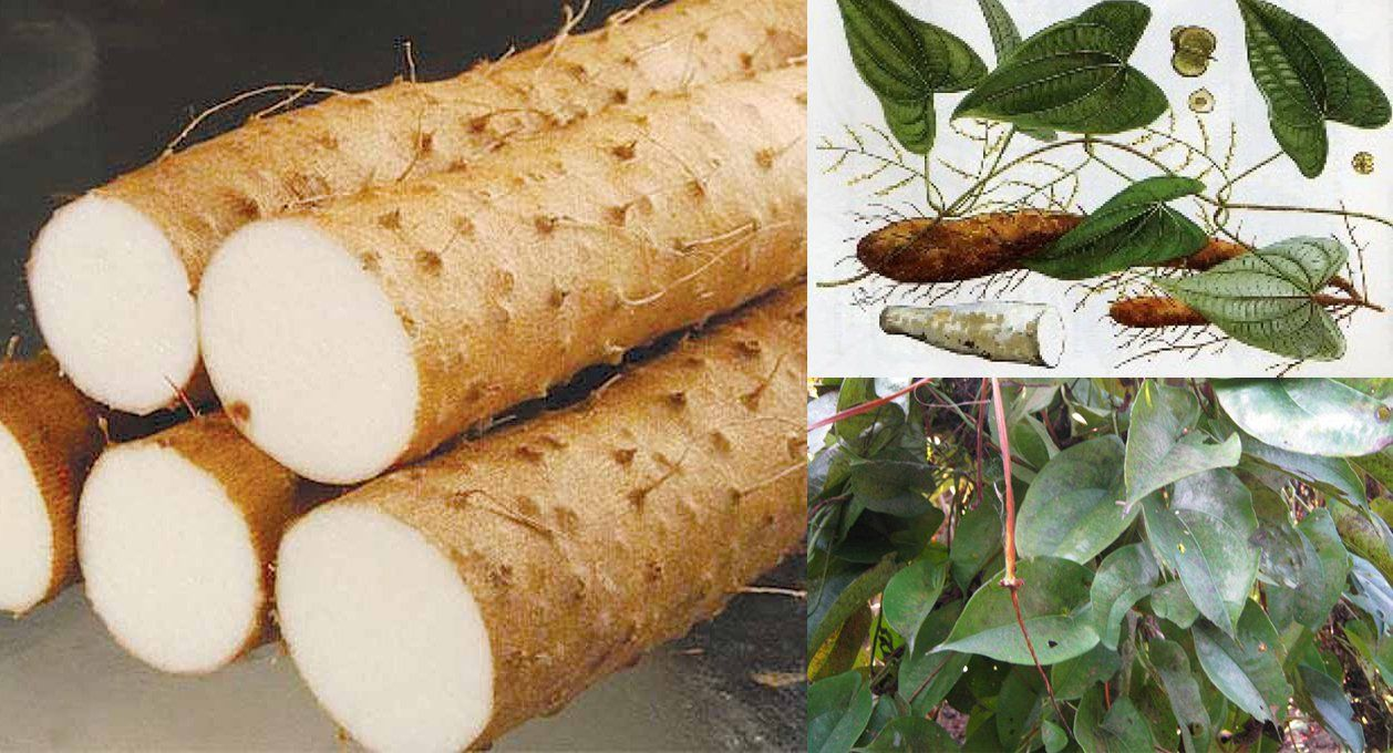 Củ dền và củ mài: Hai loại củ nên mua nếu quan tâm sức khỏe