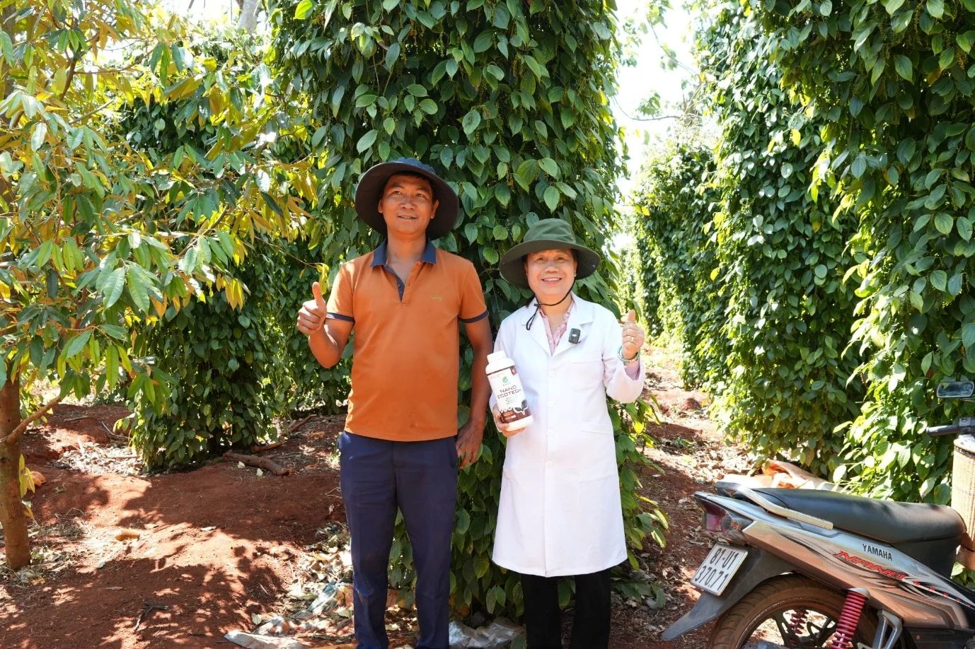 Làm chủ giống cây trồng: chiến lược tự chủ từ phòng thí nghiệm đến ruộng đồng