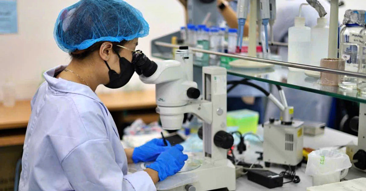 Đại học Quốc gia tăng tốc thu hút nhân tài quốc tế