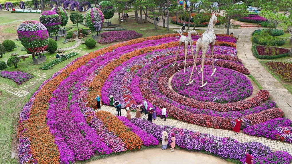 Đà Lạt dịp lễ 2/9: Bí kíp đặt phòng và tránh tắc đường phút chót