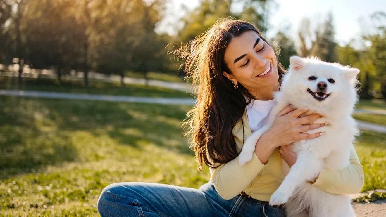 Kenapa Harnes Anjing Lebih Penting Daripada Yang Anda Fikir