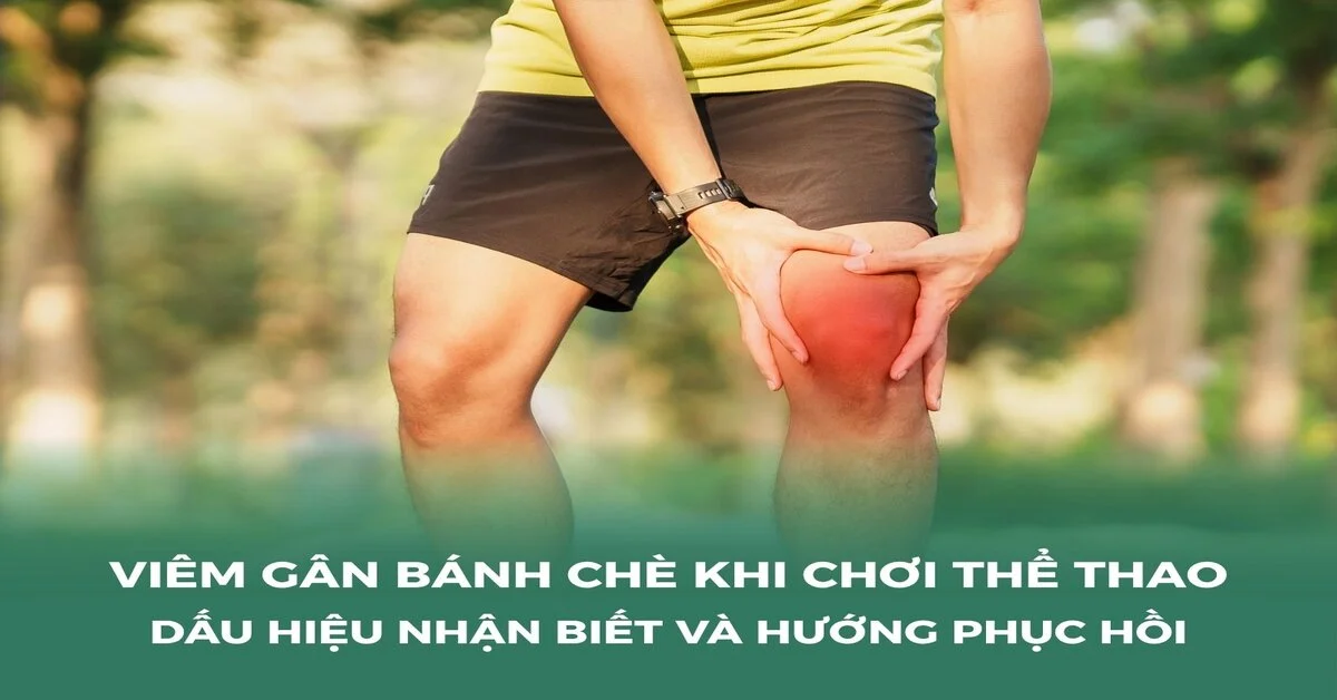 Viêm gân bánh chè ở runner: Nhận diện sớm và phục hồi an toàn