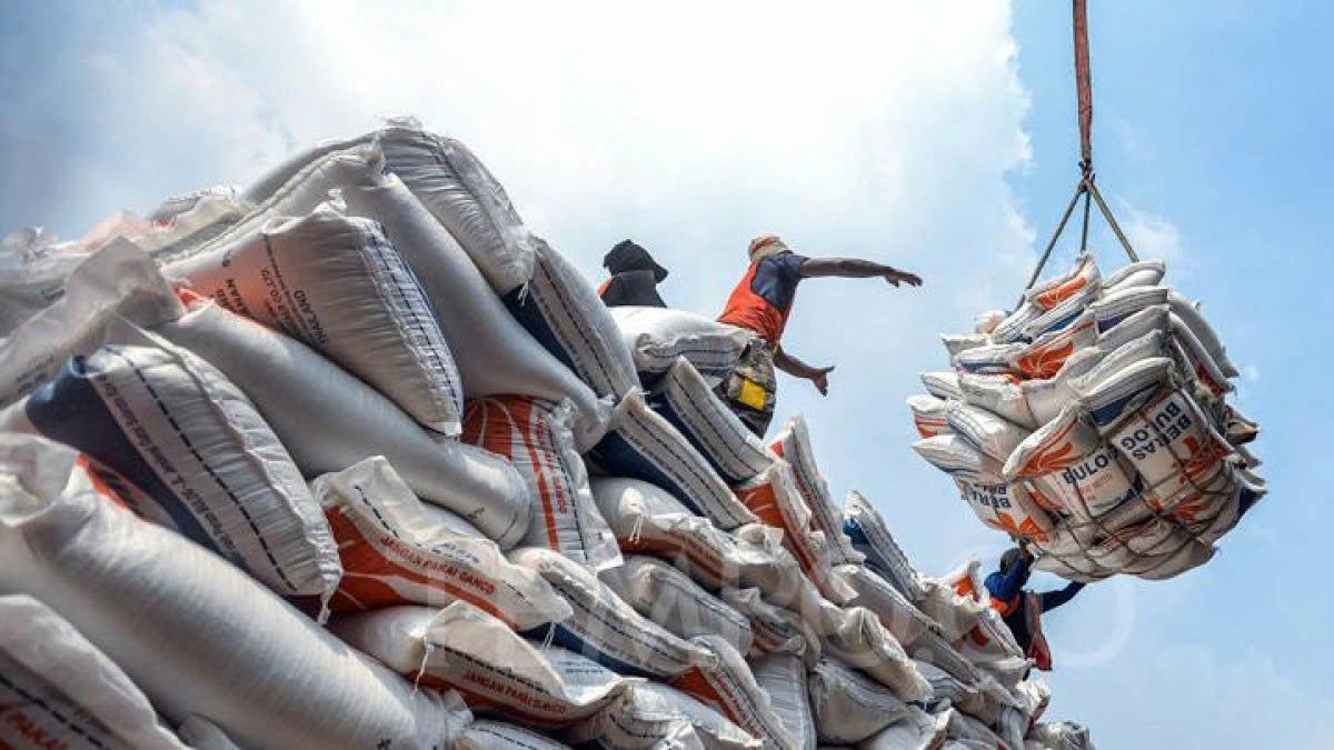 Xuất khẩu gạo Việt Nam tìm lại động lực từ giá phục hồi