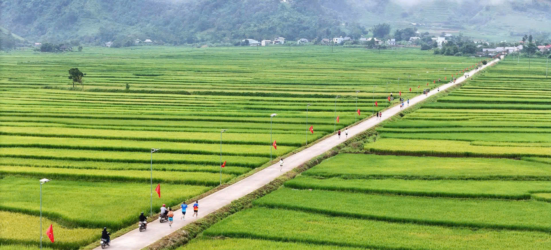 Giải chạy mùa vàng ở Lai Châu: Đường núi, mùa lúa và trái tim người chạy