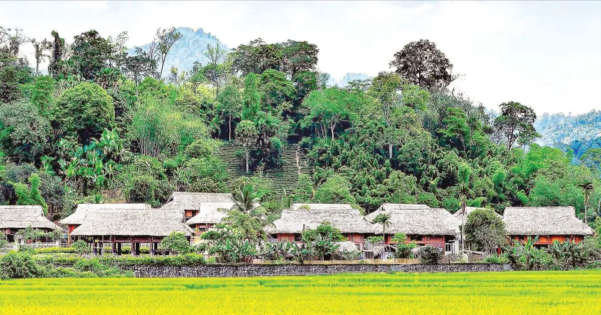 Từ cánh đồng đến câu chuyện: nhiếp ảnh nông thôn Việt Nam và bản sắc làng quê đổi thay