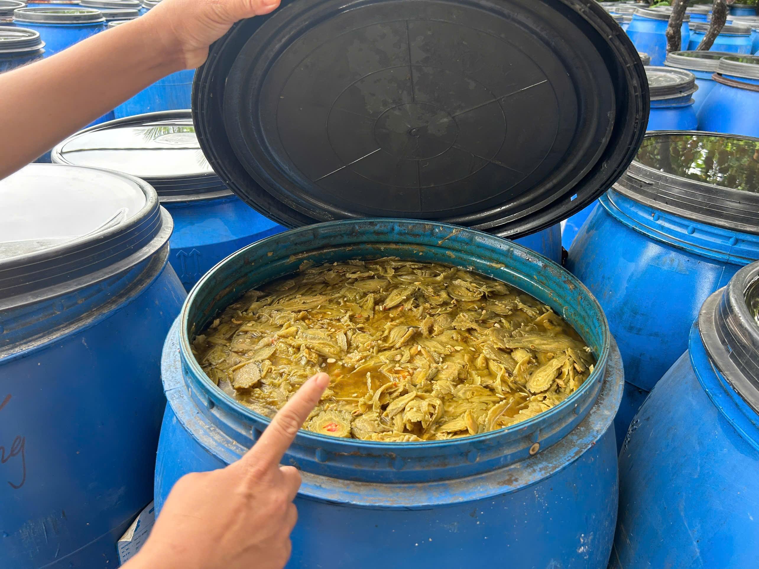 Dầu gội và kem ủ tóc made in Vietnam: Giải pháp kiểm soát xơ rối và phục hồi tóc hiệu quả