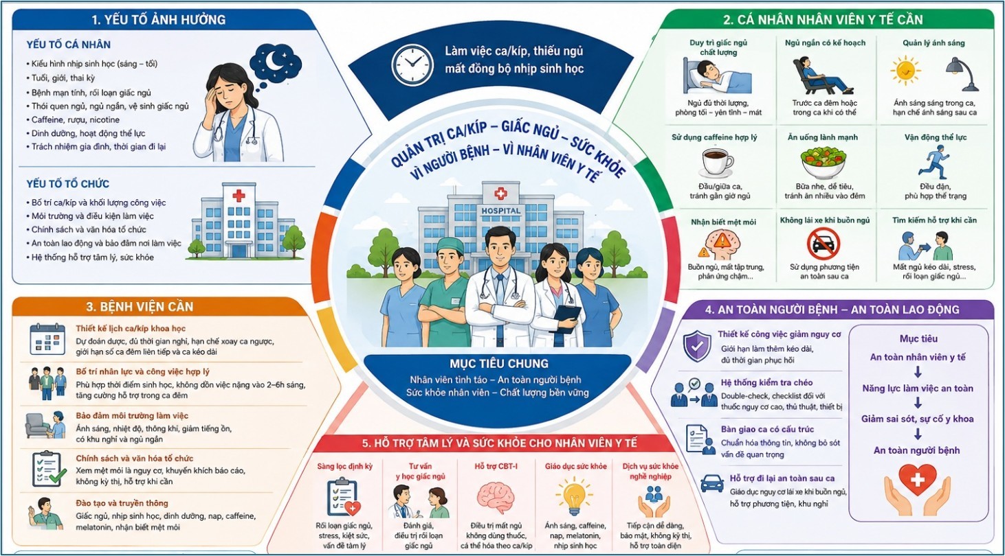 Y bác sĩ trực đêm: bảo vệ nhịp sinh học để giữ an toàn bệnh nhân