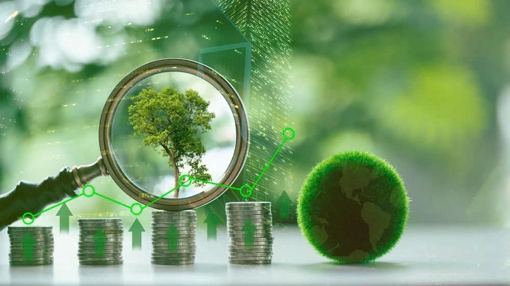 700 tỷ USD cho chuyển đổi xanh: Việt Nam sẽ hút vốn bằng cách nào?