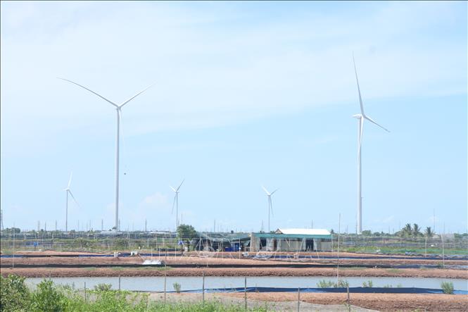 Cà Mau đẩy điện gió ngoài khơi để trở thành trung tâm năng lượng Tây Nam