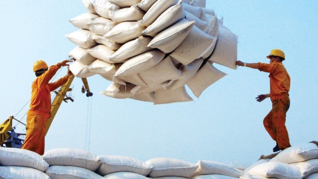 Xuất khẩu gạo vượt 6 triệu tấn: Cú hích giá mở đường tăng tốc