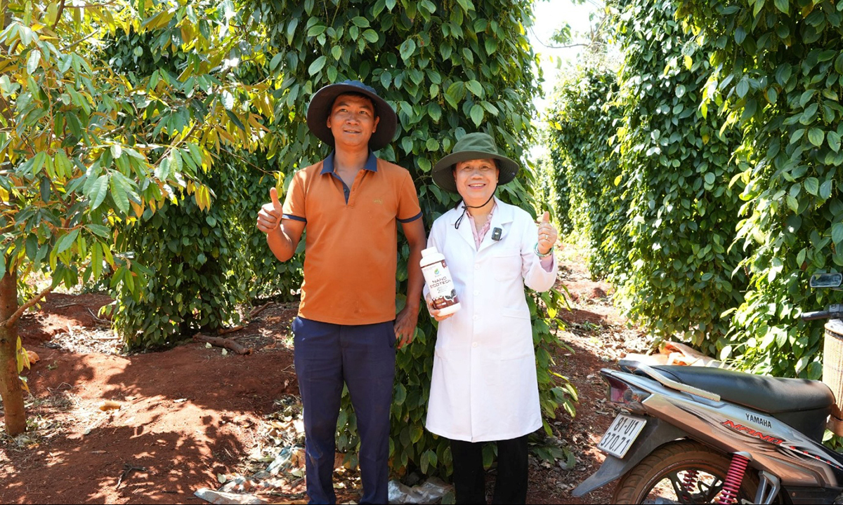 Nửa thế kỷ âm thầm kiến tạo: nữ nhà khoa học Việt Nam và di sản tri thức