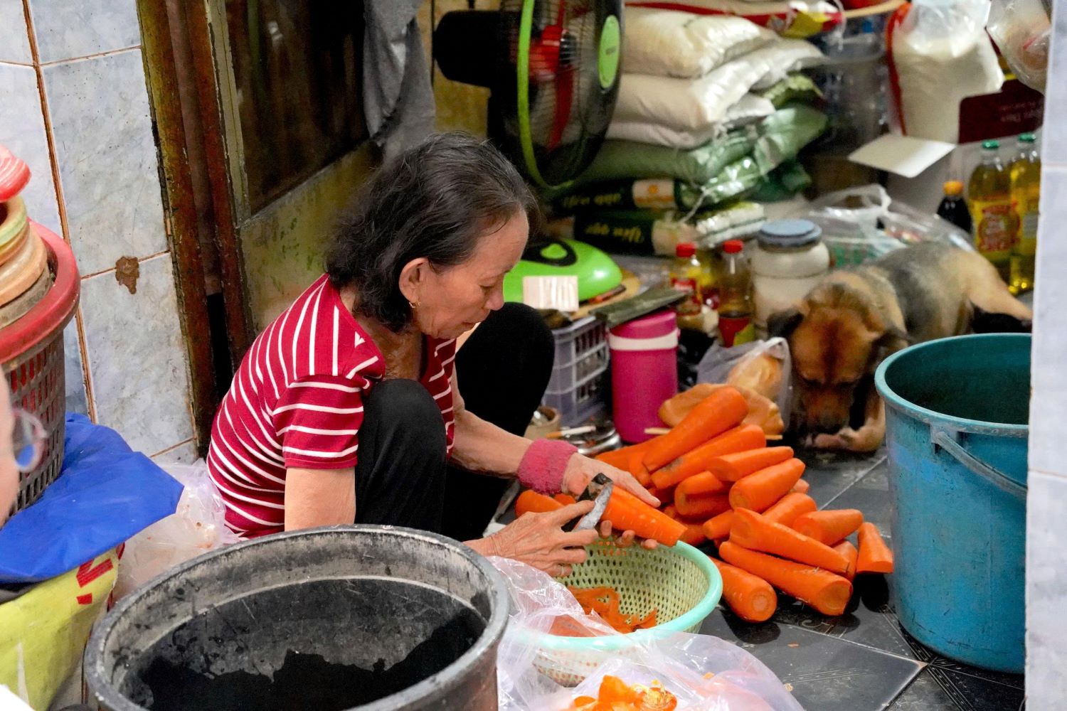 Chỉnh trang Mả Lạng và chợ Gà - Gạo: từ khu chợ cũ đến 2.160 căn hộ xã hội