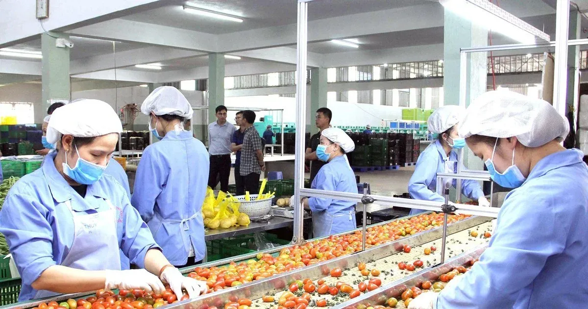 Nghị quyết 27 và bước ngoặt tổ chức không gian quốc gia