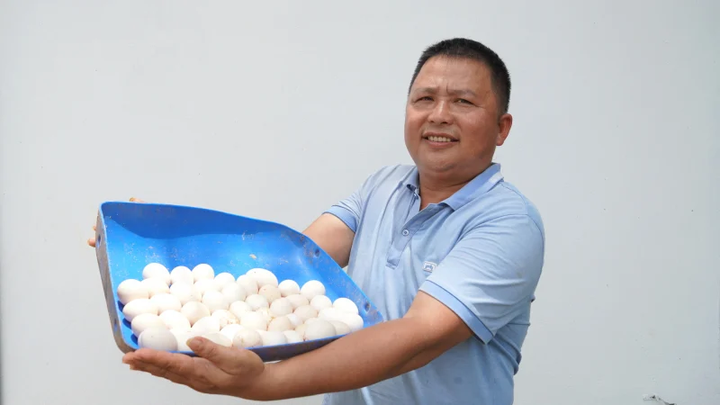 Làm chủ giống cây trồng: chiến lược tự chủ từ phòng thí nghiệm đến ruộng đồng