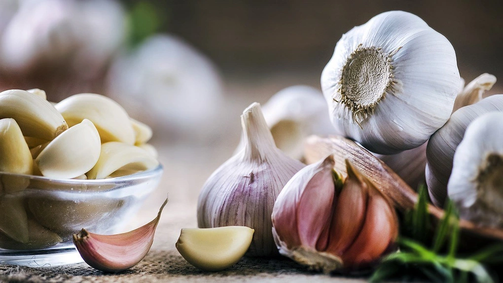 Thực phẩm mọc mầm: bổ dưỡng hơn hay chỉ là tin đồn?