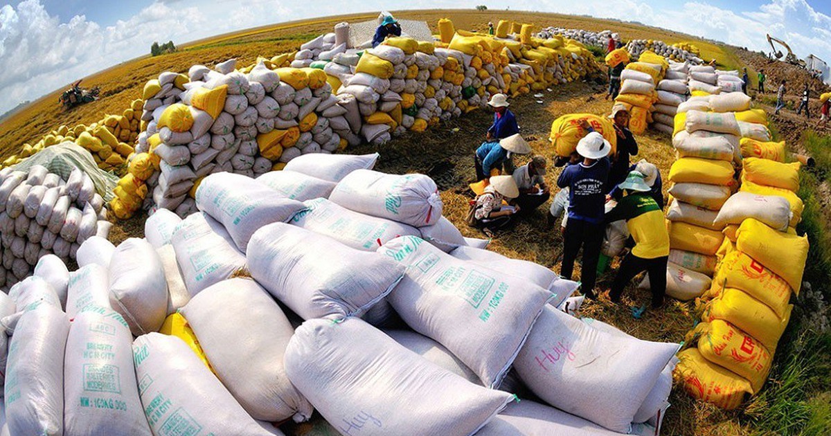 Xuất khẩu gạo Việt Nam: Giá phục hồi giữa sức ép từ Philippines