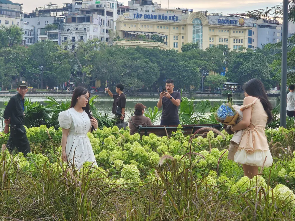 Hồ Hoàn Kiếm mùa lễ: thiên đường ánh sáng và cẩm tú cầu cho tín đồ nhiếp ảnh