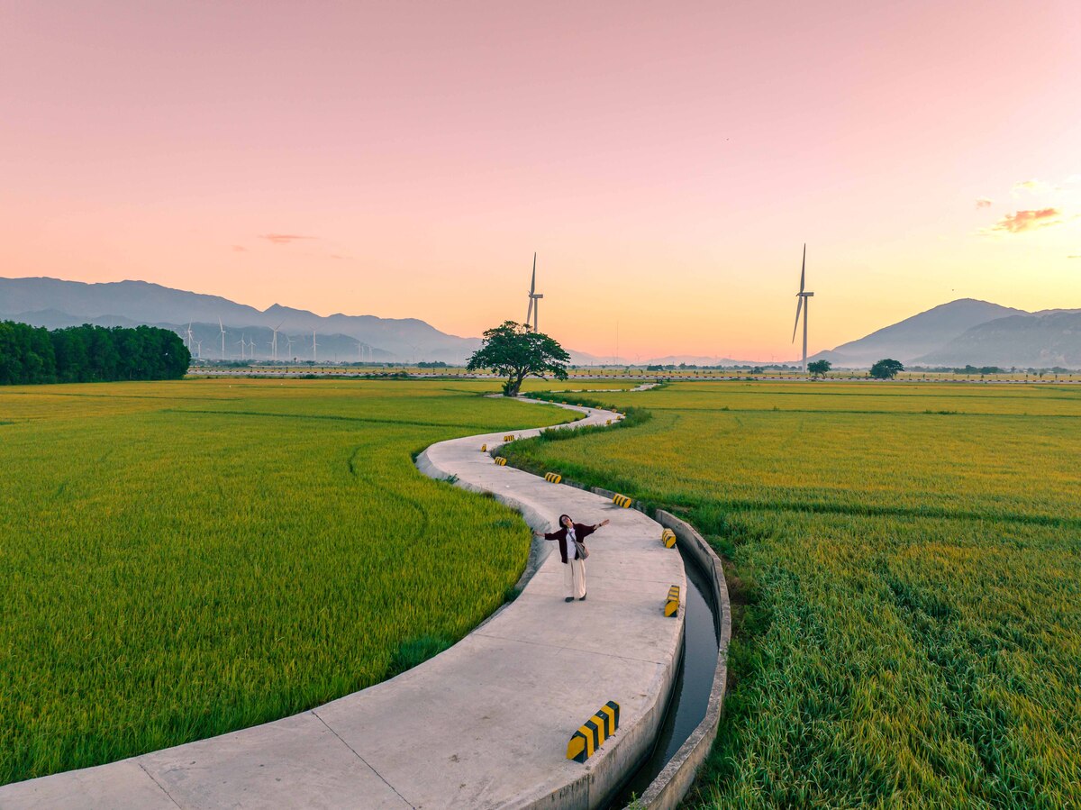 Điện gió Khánh Hòa: Tín hiệu mới từ Nexif Ratch Energy