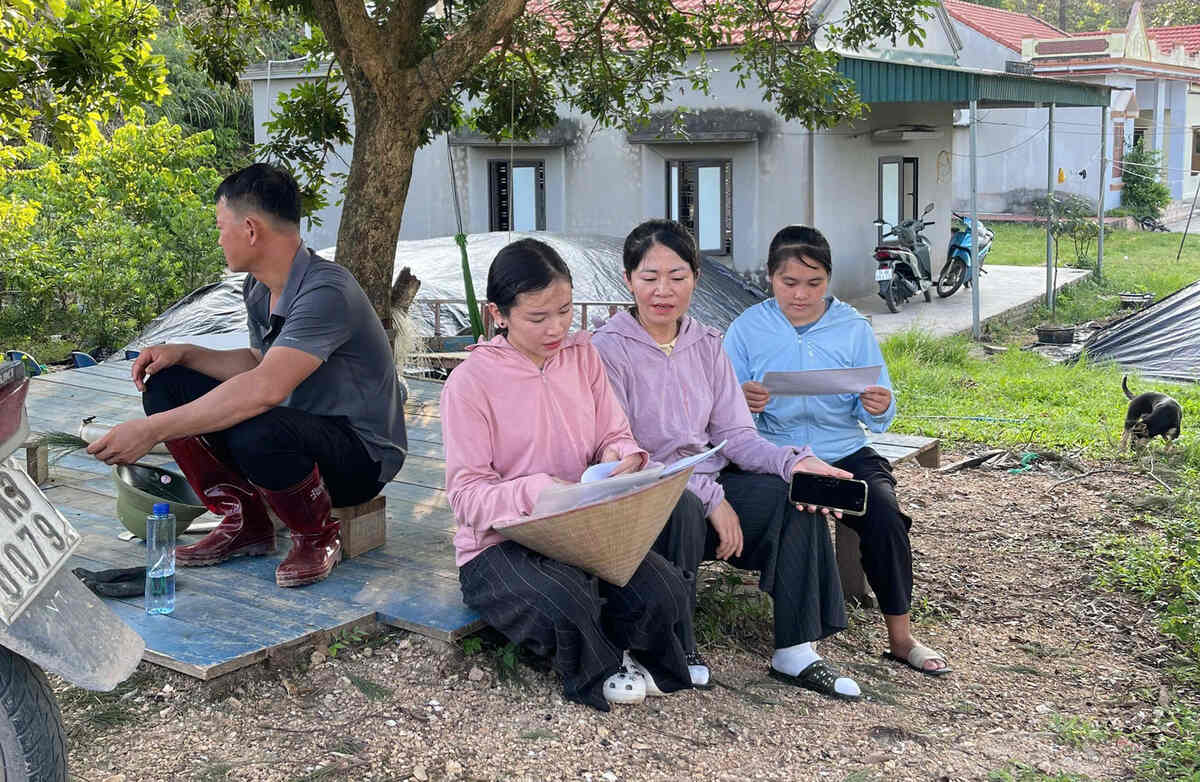 Những giáo viên bền bỉ dạy học trên đảo xa