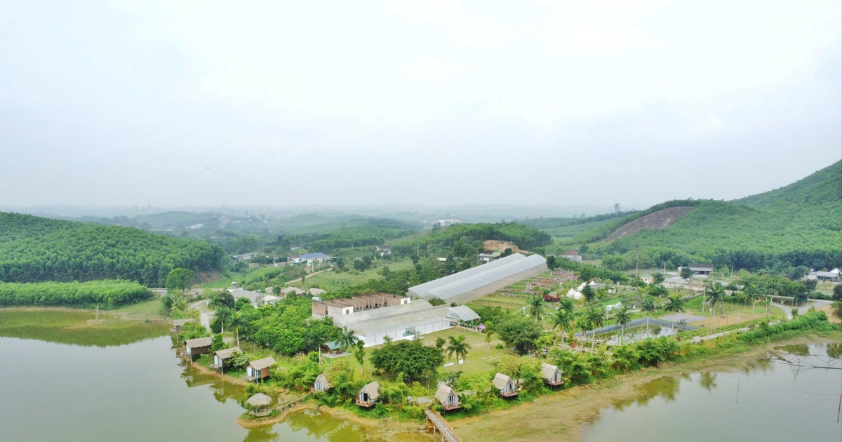 Nghệ An và Quảng Ninh: chọn điểm đến nào dịp Quốc khánh tiết kiệm?