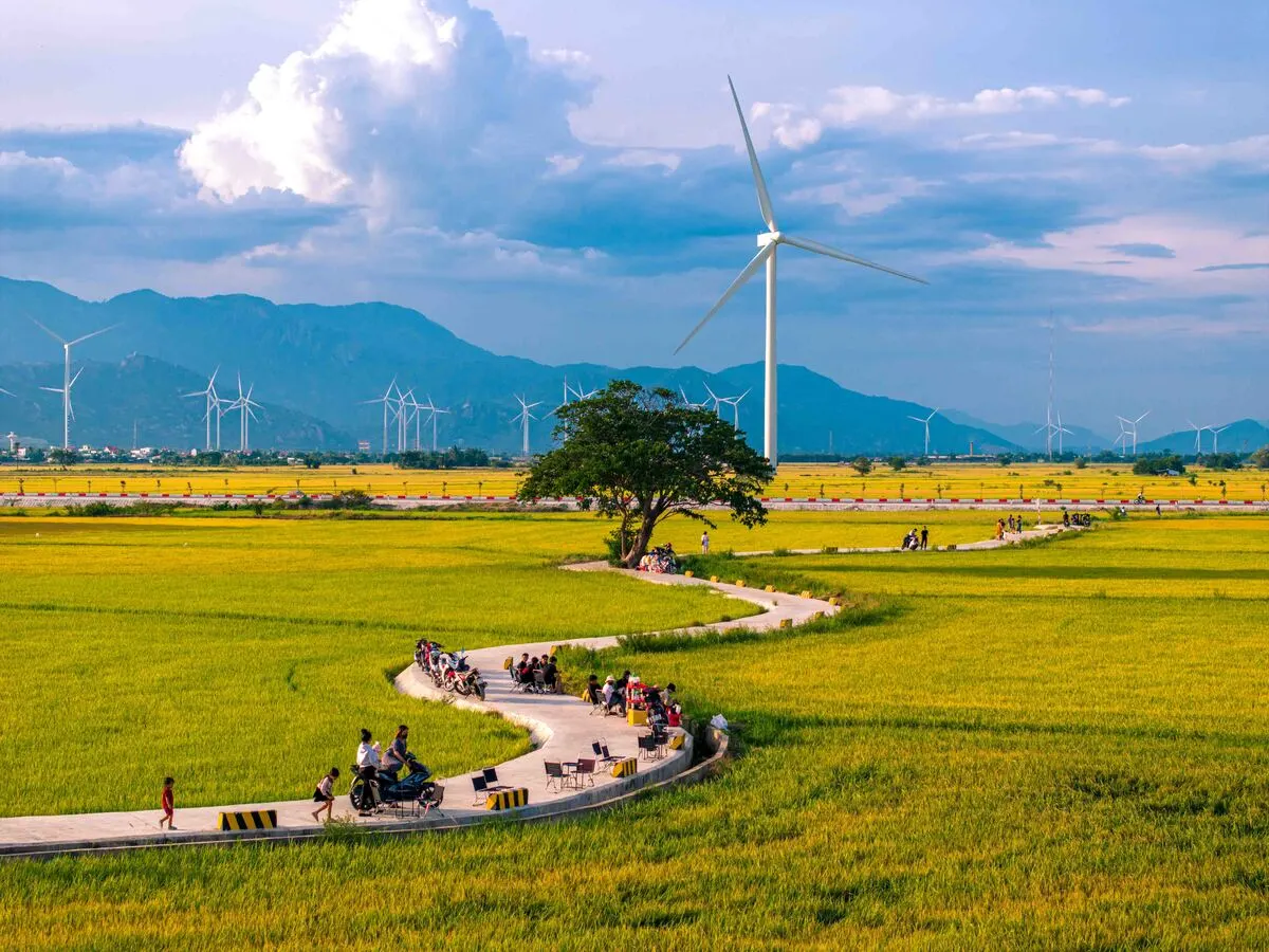 Săn ánh sáng vàng mùa lúa chín ở Phan Rang và Sa Pa