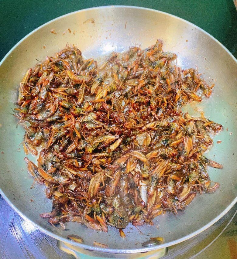 Nguyên liệu cao cấp đang thay đổi cách chúng ta ăn