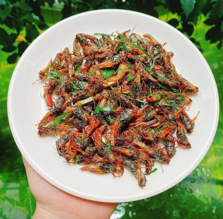 Nguyên liệu cao cấp đang thay đổi cách chúng ta ăn