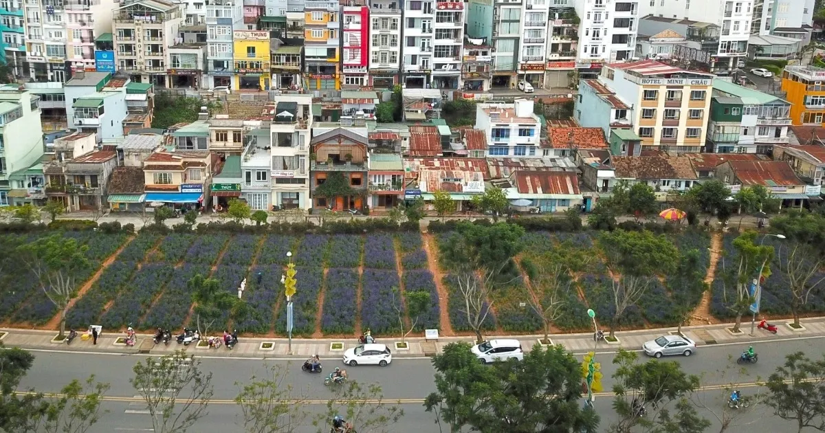 Dự án Lâm Đồng: Tỷ USD đăng ký, vì sao vẫn ì ạch?