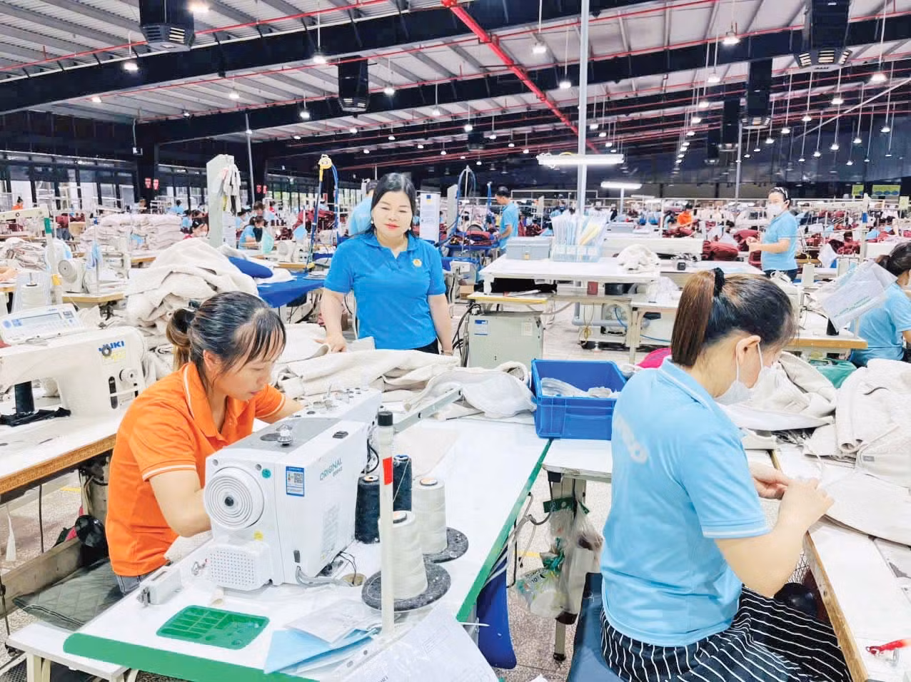 Lào Cai mở rộng 217 ha dâu tập trung: cơ hội hay thách thức?