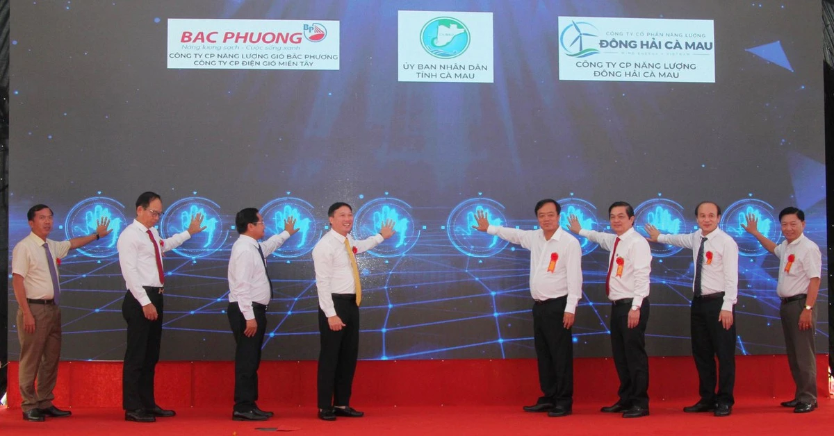 Điện gió Cà Mau 6.300 tỷ: Bước nhảy để trở thành trung tâm năng lượng tái tạo